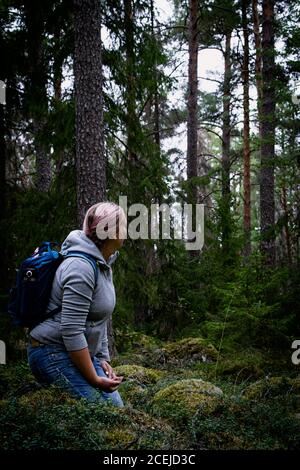 Donna che prende una pausa dalla raccolta di funghi e bacche, e solo sedersi e gode la tranquillità nella foresta. Foto Stock