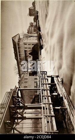. Rapporto speciale del New York state Survey sulla conservazione dello scenario delle Cascate del Niagara e quarto rapporto annuale sulla triangolazione dello Stato. Per l'anno 1879. Dichiara di essere immoderato. VIII. Reviewino: Il regime nel suo complesso, le seguenti osservazioni sono subammesse al Parlamento: Giudicato dal punto di vista più basso, gli stati possiedono nell'interestof le loro caratteristiche fisiche fonti di grande reddito pubblico e privato.benchè le prove più impressionanti potrebbero l)e trovato all'estero, non dobbiamo andare oltre i limiti del nostro proprio Stato per le illustrazioni sufficienti di thisfact. Ci possono essere pochi intel Foto Stock