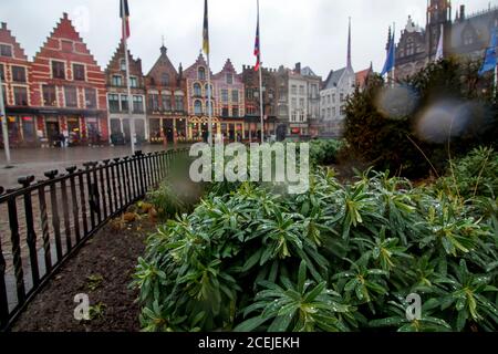 Vista su piazza Grote Markt. Erba in primo piano, case medievali colorate e bandiere europee in background durante una giornata piovosa. Ubicazione Bruges vicino a Brus Foto Stock