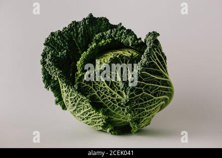 Testa di cavolo verde verdeggiante e matura su sfondo grigio Foto Stock