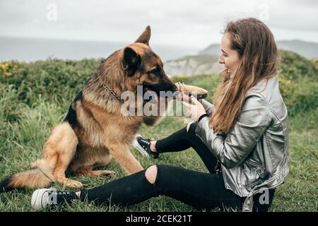 Giovane donna cane cucciolino in natura Foto Stock