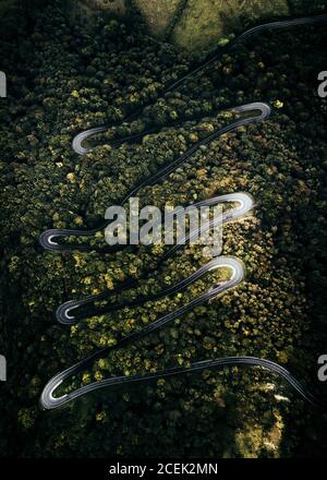 Incredibile vista su un drone di una strada stretta e tortuosa che attraversa la magnifica verde foresta Foto Stock