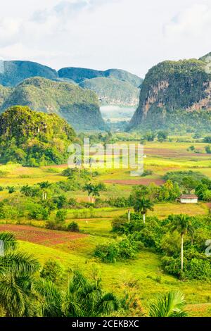 Vista della Valle dei Vinales a Cuba all'inizio mattina con nuvole e nebbia che galleggia tra le montagne Foto Stock