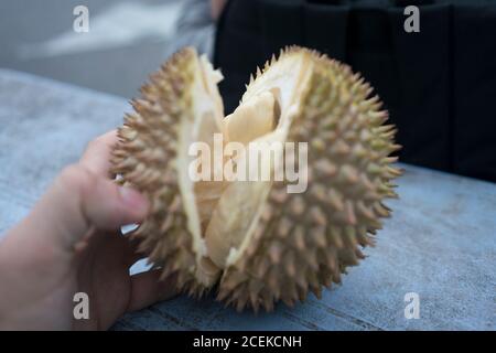 La mano di raccolto dell'azienda umana ha aperto la frutta fresca su grigio Pensione in Malesia Foto Stock