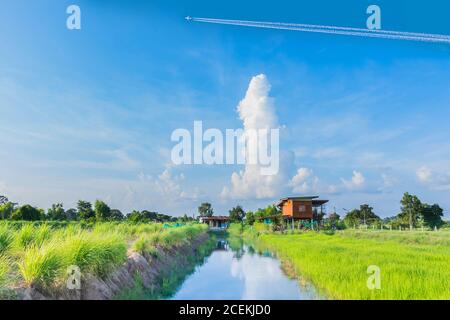 La campagna, risaia verde con bella nuvola cielo nella parte alta della Thailandia. Foto Stock
