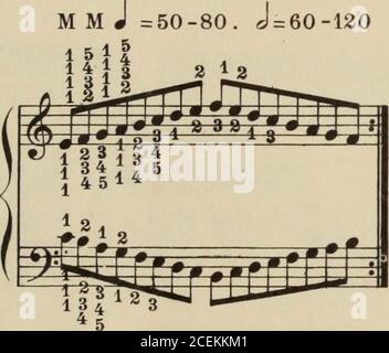 . Scuola completa di tecnica per il pianoforte : compresa flessibilità e indipendenza, scale in tutte le forme, estensione, arpeggi in tutte le forme, doppie note, ottave e accordi, trills, tremolo, glissando. 0 lavoro di spostamento della mano da posizione a posizione, le alette-ger essendo così liberate dalla necessità di raggiungere econseguentemente raddrizzatura. Un dito che gioca un tasto bianco, che sta per giocare un tasto nero, (come da e TOF n.) colpisce vicino al nero, e il dito seguente strikeson la fine del nero. I movimenti di ingresso e uscita dei tasti sono evitati. In conf Foto Stock