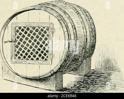 . Le Monde moderne. Avec le mâle et quelle est de nouveaupleine et prête à mettre bas. Exploilalion industrielle du clapier.- la création dun clapier industriel apier objet la production de la viande, de la peau et du poil. l-mi les mâles, par douzaine de lapins, il faut en réser-ver deux des plus beaux pour la repro-duction et destiner les autres à lengrais-entement et pour cela les soumettre à lacastration, car alors ils sengraissent. mieux, più rapiement el fournissentune chair plus line et plus délicate. Integrazione. – .A trois ou quatremois, on incominciate i deslapide a lungo, ou plutô Foto Stock