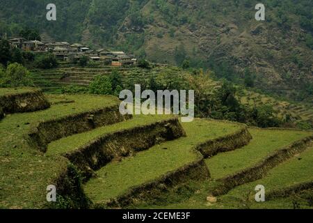 Paesaggio del villaggio agricolo di Sidhane in Kaski, provincia di Gandaki Pradesh, Nepal, dove la comunità gestisce anche ecoturismo. Foto Stock