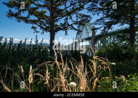 Yaquina Bay Bridge a Newport, Oregon, lungo l'autostrada US 101, vista attraverso gli alberi Foto Stock