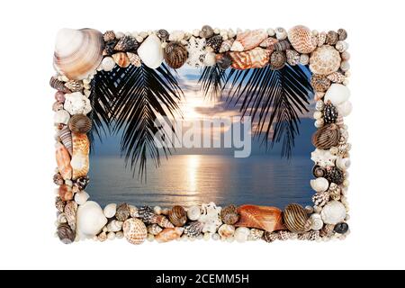 Seashells foto cornice bianco sfondo isolato primo piano, mare conchiglie foto confine, tramonto spiaggia, vacanza estiva, isola tropicale vacanza, palme Foto Stock