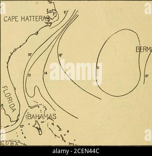 . Esplorazioni della costa degli Stati Uniti e del geodetico Survey Steamer 'Bache' nell'Atlantico occidentale, gennaio-marzo 1914, sotto la direzione degli Stati Uniti, Bureau of Fisheries : oceanografia. e la curva di 36*^/00 si trova in una zona approssimativamente ovale, probabilmente limitata da acqua di bassa salinità a nord, come certamente era a est, a sud, ad ovest. La bassa salinità della stazione 10185 è chiaramente un fenomo-non locale, così come la sua bassa temperatura. Sulla parte sud-occidentale della zona in generale la salinità era molto uniforme (36-36.08°/oo); ma 22 ESPLORAZIONI, Atlantico occidentale, Foto Stock