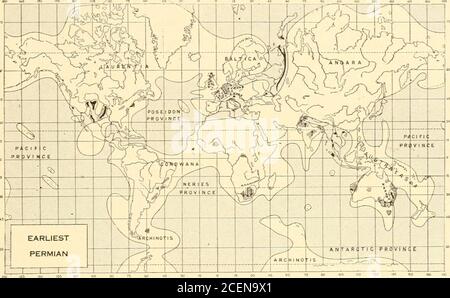 . L'origine e l'evoluzione della vita, sulla teoria dell'azione, della reazione e dell'interazione dell'energia. ch comparve contemporaneamente in Sud America, Sud Africa, Australia, Tasmania e India meridionale. La distribuzione diffusa di questa flora nell'emisfero meridionale fornisce una delle argomentazioni per l'esistenza del grande continente atlantico del sud Goudwana, un ponte transatlantico di migrazione animale e vegetale, postulato da Suess e sup-portato dagli studi paleogeografici di Schuchert. America del Nord la glaciazione del tempo di Permian è creduta alla Fig. 6i. Cranio e colonna vertebrale di D Foto Stock