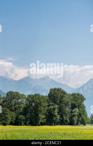 Pittoresche Alpi di montagna e prati verdi con fiori gialli vicino al Lago di Como. Città di Colico. Italia. Foto Stock