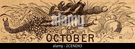 . Famiglia dei fratelli Almanac, Il (1892). Il nostro 42 min. 23 Domenica 24 Mondy 25 Tu. 26 Lun. 27 Giovedì 28 Venerdì 29 Sabato:Severinus12Salome13 Crispin14Amandus 15 Sabina 16 Simon JudeYlZioinglius 3 2 40 7 10 m 71 4 3 22 7 58 N.*2l| 5 4 14 8 57 ^ 6 5 8 10 12 ^20 7 5 52 11 21 OK 4 7 6 50 Morn. A*i6 8 7 30 12 15 S&29 © entra in eft*7:;: Sale 6 12Capella so. 2 49 ^Eigel sorge 8 29 27. § ad Aphel. Vega così. 1 14dip© 16 6 40 16 6 41 16 6 42 16 6 44 16 6 45 16 6 46 16 6 47 44] Domenica dopo la Trinità. Matt. 11. Giorni durata 10 ore 26 min. 30 Domenica 31 Mondy Seraponhallow Eve 1551 12 501 30 3E16 d S Foto Stock