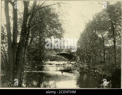 . Relazione della Commissione Bronx River Parkway: Nominata ai sensi del capitolo 669 delle leggi del 1906. Porzione di fiume a Woodiawn. Foto Stock