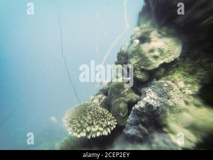 Coral Reef Landscape Tilt Shift Madagascar Foto Stock