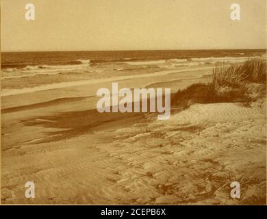 . Una leggenda delle dune di sabbia, Cape Henry, Virginia. Foto Stock