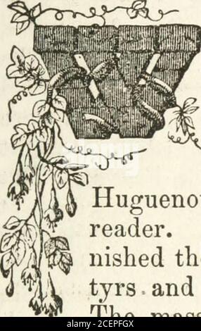 . Paganesimo, poperia e cristianesimo : o, la benedizione di una Bibbia aperta, come mostrato nella storia del cristianesimo, dal tempo del nostro Salvatore ai giorni nostri. Non so, dice lui, thatthatthere apparve più di due menin veramente notevole la repubblica di lettere dal sesto alla metà dell'undicesimo secolo - Giovanni, soprannominato Scoto, oErigna, un nativo d'Irlanda; e Gerbert, che è venuto papa, dal nome di Sylvester II; il primo, dotato di un genio audace e metafisico; thesecondo, eccellente, per il tempo in cui visse, in scienze matematiche e in inventio meccanico Foto Stock