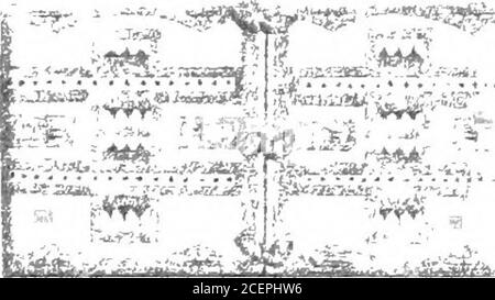 . Waiilatpu : la sua ascesa e caduta, 1836-1847 : una storia di giorni pionieri nel Pacifico nord-ovest basata interamente su ricerca storica. CORNELL UNIVERSITYLIBRARY • • ^ ^ - i ili/f il suo Riseand caduta UNA stoiy di Mlssi onary daysin Pacifico Nord-Ovest 1636-164r miglia^ Cannoixcu31924102204181 Foto Stock