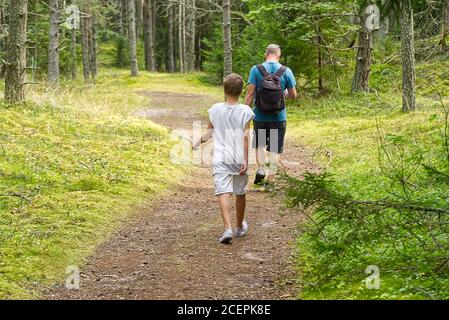 figlio e padre camminano in una foresta di conifere estiva, in una giornata estiva di sole. Foto Stock