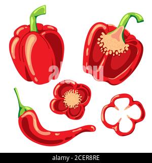 Paprika e peperoncino rosso su sfondo bianco. Illustrazione vettoriale isolata. Illustrazione Vettoriale