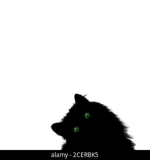 Gatto nero con occhi verdi isolati su sfondo bianco quadrato con copyspace. Halloween vacanza, horror concetto. Biglietto d'auguri, inviti, poster, b Foto Stock
