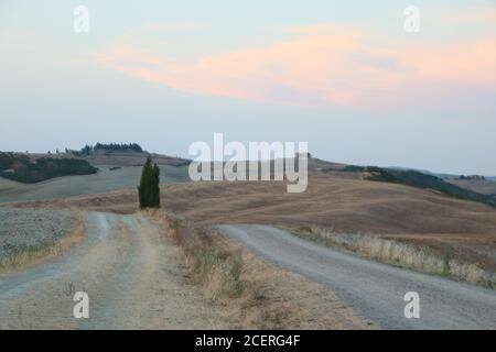 A San Quirico d'Orcia - Italia - il 2020 agosto - cipresso fila di alberi nella campagna toscana al tramonto Foto Stock