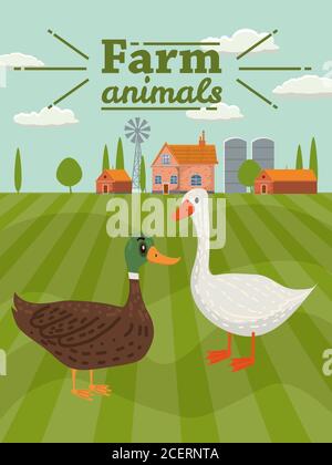 Anatra e oca sono animali da fattoria. Paesaggio rurale sfondo. Illustrazione vettoriale stile cartoon Illustrazione Vettoriale
