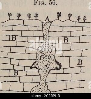 . Il campo-libro e la guida del prospettore nella ricerca e nella determinazione facile dei minerali e di altri minerali utili. Sui lati di una montagna in una direzione quasi parallela alle valli contengono più extensivedepositi di piombo che quelli che attraversano gli angoli retti del valleysat.* il prospettore dovrebbe mantenerlo suggerimento in mente. I minerali di piombo si trovano nelle fessure dove sembrano essere stati depositati da acque che li hanno dissolti fuori dai letti vicini (Fig. 56). Negli Stati Uniti le principali fonti di piombo negli ultimi anni sono state minerali argentiferi e concid-erable da zi Foto Stock