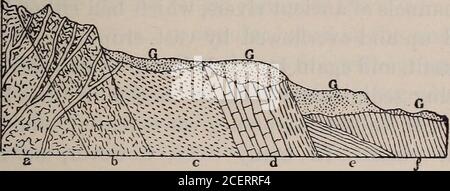 . Il Field-book del prospettore e guida nella ricerca e nella facile determinazione dei minerali e di altri minerali utili. La messa a terra per evaporazione o assorbimento. Frequentemente, il quarzo cellulare è stato trovato con oro all'interno delle cellule, il materiale che circonda l'oro essendo stato decomposto, e, rilasciando l'oro non decomposto, quest'ultimo è fondente nelle celle del quarzo. L'oro, pertanto, deve essere atteso e guardato nelle regioni granitiche (Fig. 46), e in quelle rocce e da quelle ghiaie e sabbie che devono la loro origine in tali regioni. Richiede molto giudizio, esplorazione gen-erale, Foto Stock