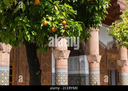 Aranci che crescono nel cortile del Palazzo Dar el-Bacha, Medina, Marrakech Foto Stock