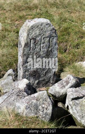 Pietra marcature scolpita che segna la sorgente delle T del fiume a Tees Head on Cross Fell, Cumbria, Inghilterra, Regno Unito, Foto Stock