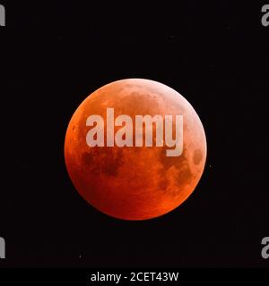 Eclissi di luna super, Lunar Eclipse, supermoon rosso sangue, luna, rosso arancio luna piena con stelle scintillanti, 21 gennaio 2019, Germania. Foto Stock