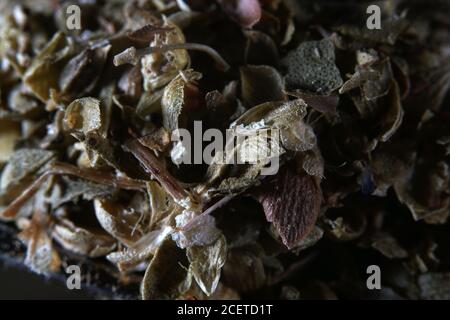 Colpo di primo piano di cumulo di origano secco Foto Stock