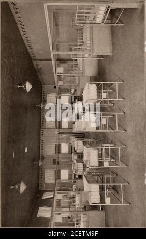 . New York Nursery and Child's Hospital Annual Report. 16. 17 Storia del New York Nursery and Childs Hospital ATTUALMENTE lavora presso il New York Nursery and Childs Hospital, riuscendo a tutte le attività e ad alludere le tradizioni del più antico vivaio, il più antico ospitale per bambini e il più antico ospedale di maternità della città di NewYork, che ha inviato i medici alle case dei poveri al momento del parto, è stato iniziato nel 1823. L'attuale corporazione wasformed dal consolidamento del Nursery and Childs Hospital con il New York Infant Asylum, che in precedenza aveva consolidato withe Foto Stock