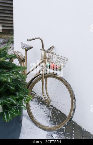 Una bicicletta decorativa in bronzo con un cesto contenente palle di Natale si trova vicino all'albero di Natale sulla strada invernale vicino alla casa. Natale dic Foto Stock