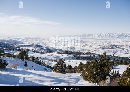 Posizione dei monti Tian Shan, Uzbekistan, Asia centrale. Inverno foresta di montagna. La vista dalla funivia alla stazione sciistica di Beldersay Foto Stock