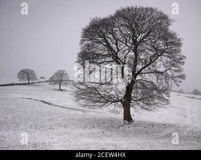 Una scena innevata Hill Lane, Burnley, Lancashire. Inverno. Foto Stock