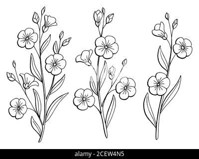 Flax flower grafico nero bianco isolato disegno vettore Illustrazione Vettoriale