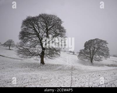 Una scena innevata a Hill Lane, Burnley, Lancashire. Inverno. Foto Stock