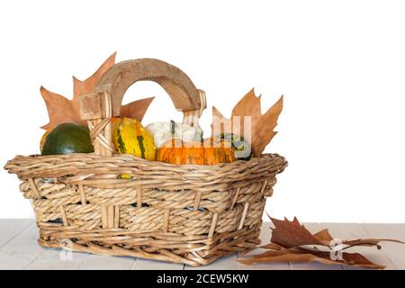 Zucche in cesto e foglie autunnali su tavola di legno bianco Foto Stock
