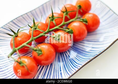 una vite di pomodori ciliegini presentata su una ceramica blu piastra Foto Stock