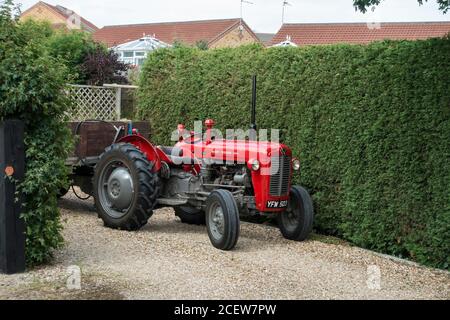 Trattore Massey Ferguson 35 Cherry Willingham, giugno 2020 Foto Stock