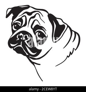 Ritratto decorativo del vettore carino del cane pug in colore nero isolato su sfondo bianco. Immagine isolata per progettazione e tatuaggio. Illustrazione Vettoriale