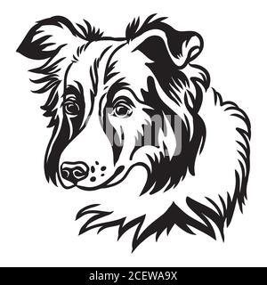 Contorno decorativo ritratto di cute bordo collie cane vettore illustrazione in colore nero isolato su sfondo bianco. Immagine isolata per la progettazione e t Illustrazione Vettoriale