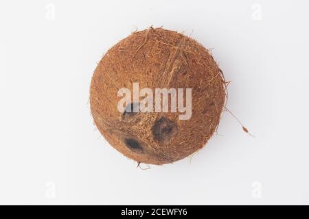 coconut su sfondo bianco isolato, spazio di copia, flatley Foto Stock
