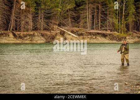 Un uomo si è agganciato in un salmone su un'asta del mosca, mentre wading nel fiume Kitimat nella Columbia Britannica, Canada. Foto Stock