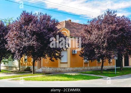 Casa all'angolo di due strade nella periferia area residenziale Foto Stock