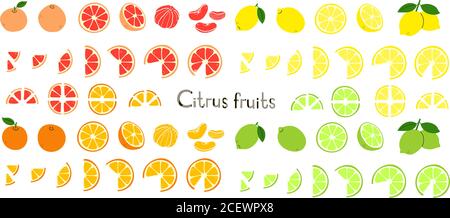 Agrumi. Limone, lime, arancia, pompelmo. Frutta intera e tagliata, metà e fette. Vitamina C. insieme di icone vettoriali moderne positive isolate su bianco Illustrazione Vettoriale