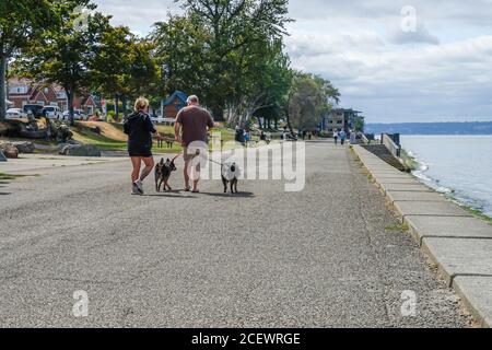 Una coppia cammina i loro cani lungo il lungomare, Alkai Beach, West Seattle, Wa. Foto Stock